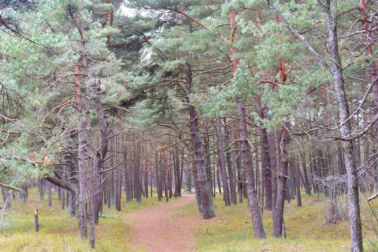 Vila Dia Palanga Eksteriør bilde
